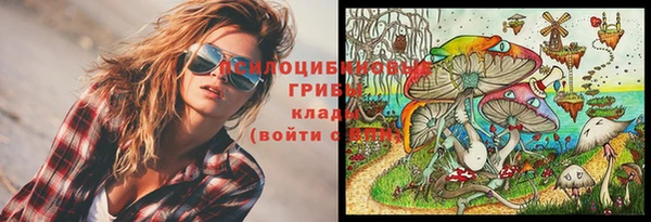 прущие крисы Дмитровск