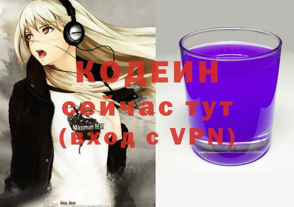 ешки Дмитриев
