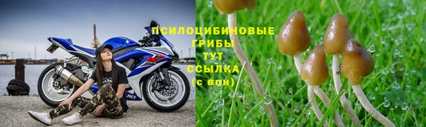 прущие крисы Дмитровск