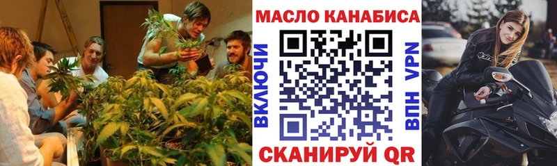 Купить  Сясьстрой  ТГК жижа 
