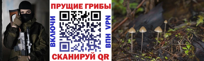 Галлюциногенные грибы MAGIC MUSHROOMS  Купить  Сясьстрой 